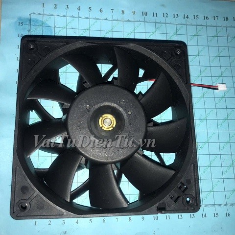 20250518_Uvc5kgR3.jpg