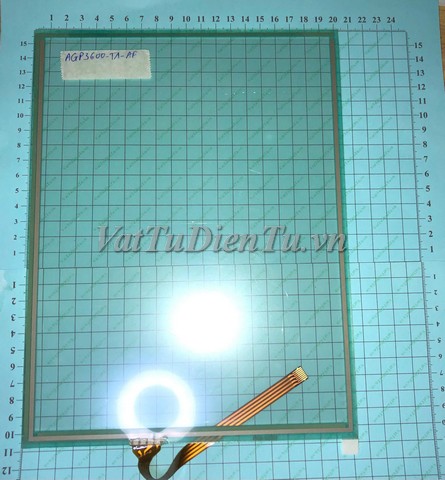 20250808_RHfrbcpf.jpg