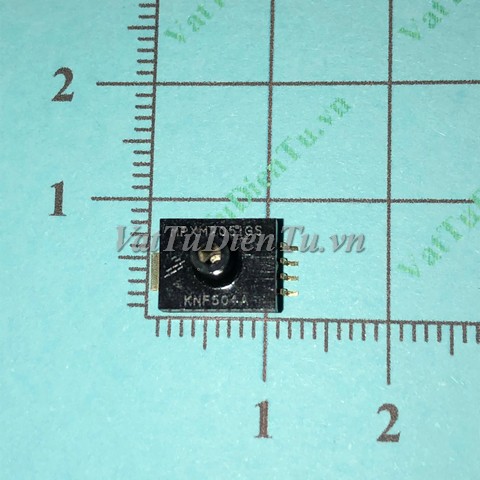 20250927_pgd44jef.jpg