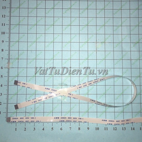 20251007_miGiI41L.jpg