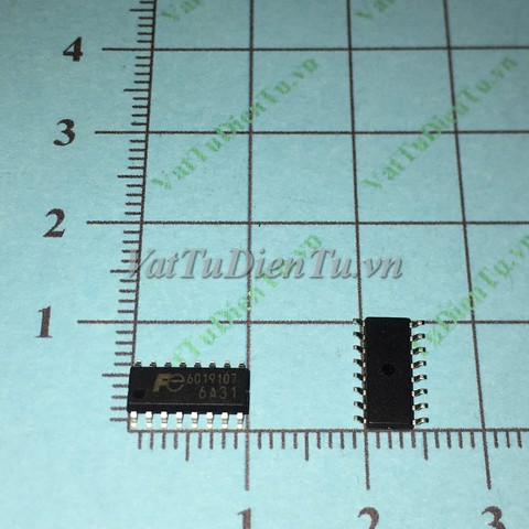 20251122_1tfrFv5T.jpg