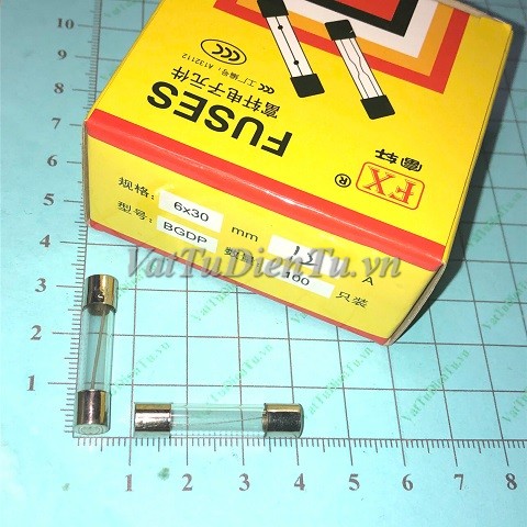 Cau-chi-12A-250V-ong-thuy-tinh-6x30mm_F12A250V6x30-STE.JPG