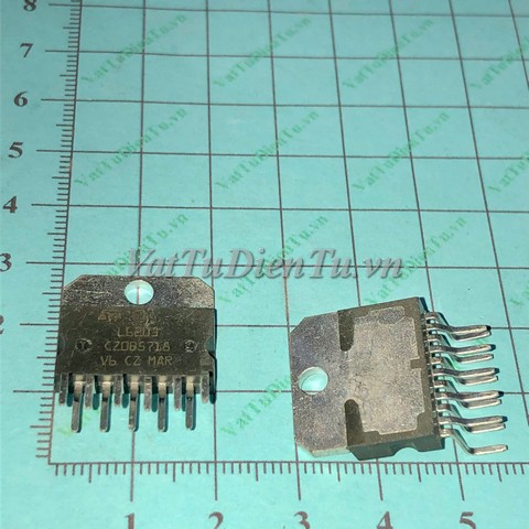 L6203-IC.jpg