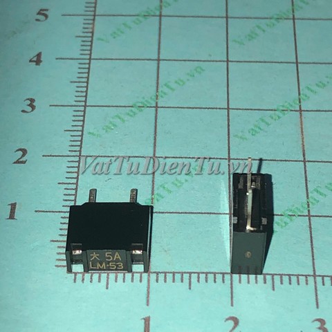 LM50-019.jpg