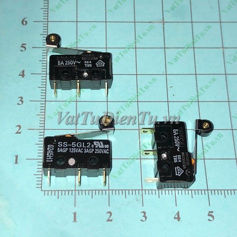 SS-5GL2-Cong-tac-hanh-trinh-5A-Omron-tay-gat-co-banh-xe-Limit-switch-_SS-5GL2-083.JPG