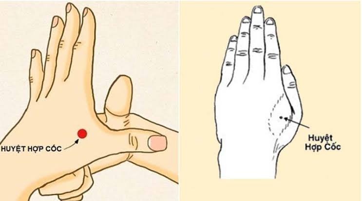 Huyệt Hợp Cốc