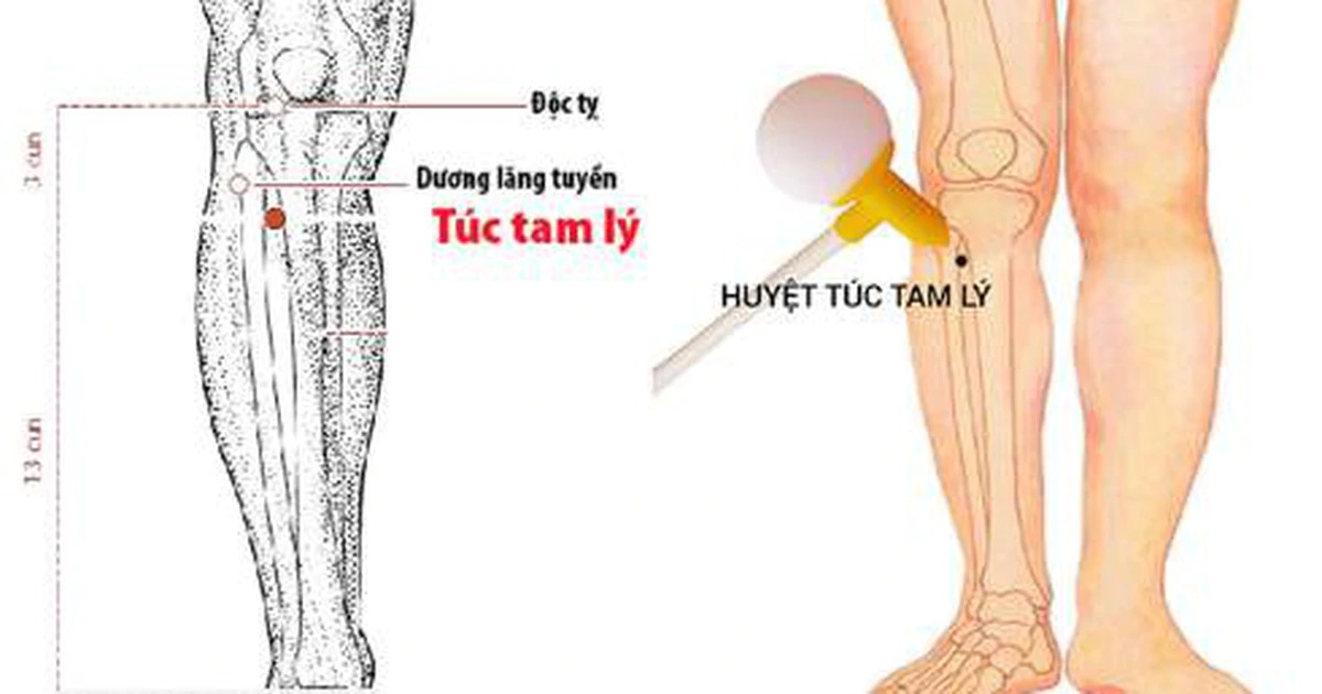 Huyệt Túc Tam Lý