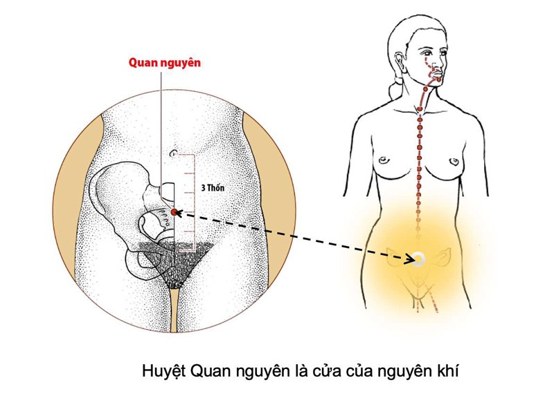 Huyệt Quan Nguyên