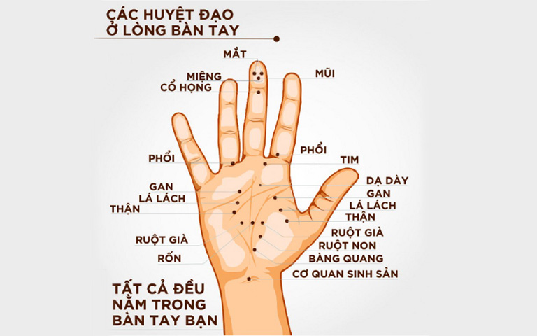 Kỹ thuật xoa bóp bàn tay