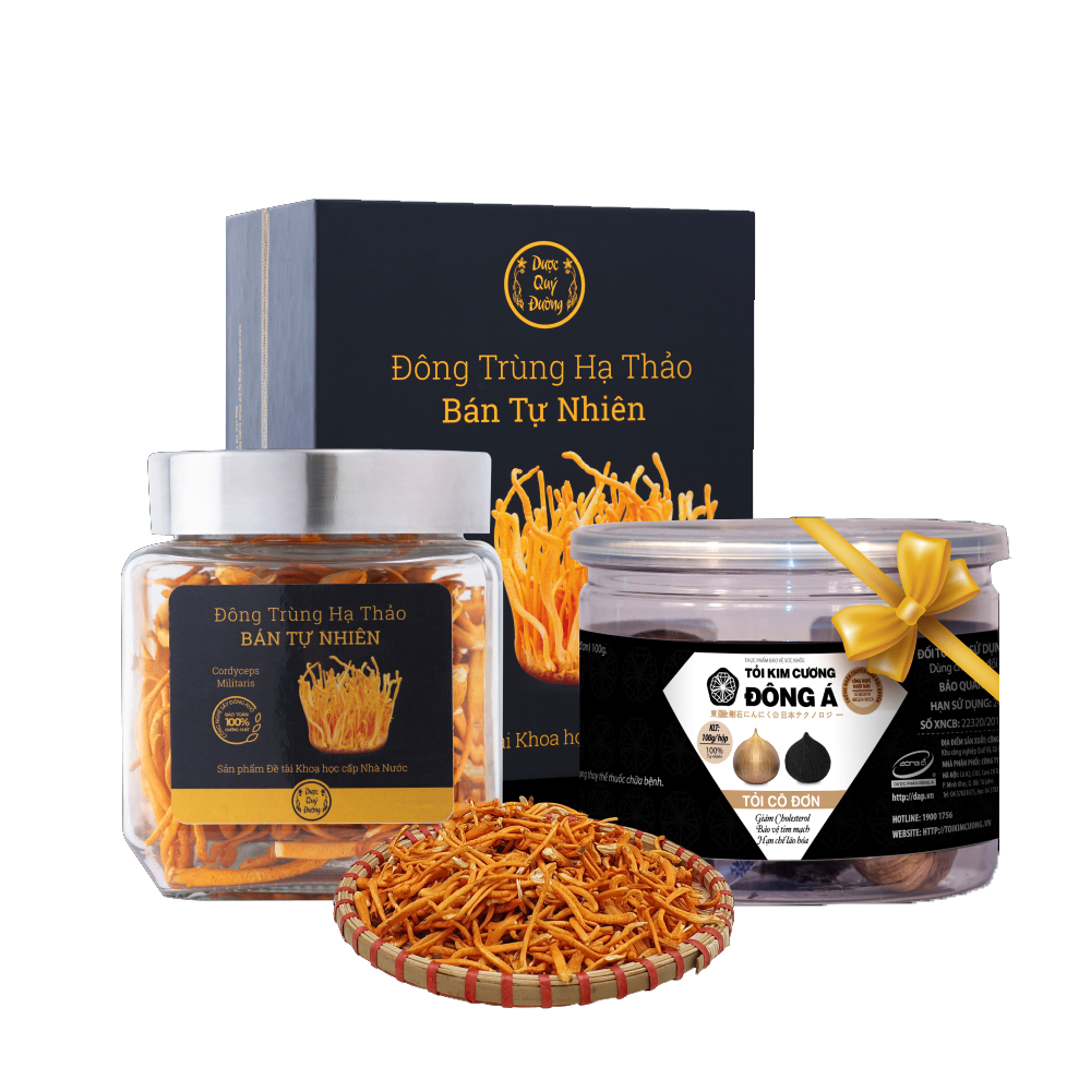 Đông trùng hạ thảo Dược Quý Đường - hỗ trợ điều trị ung thư, bồi bổ cơ thể