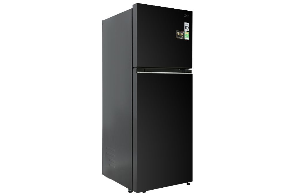 LG Inverter 315 lít GN-M312BL
