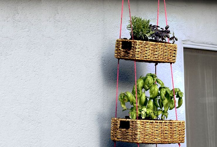 MÁCH BẠN TRANG TRÍ NHÀ TUYỆT ĐẸP VỚI CÂY XANH