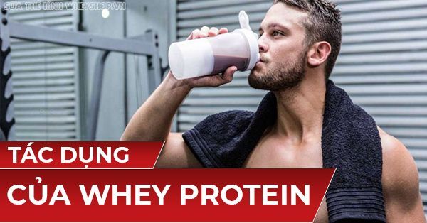 Nạp Protein cho cơ thể