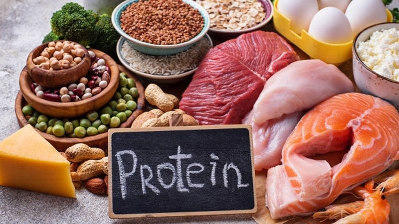 Bạn nên lựa chọn nguồn protein nào