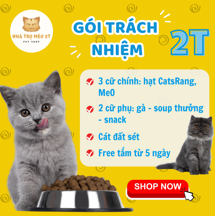 Gói Trách Nhiệm - 2T