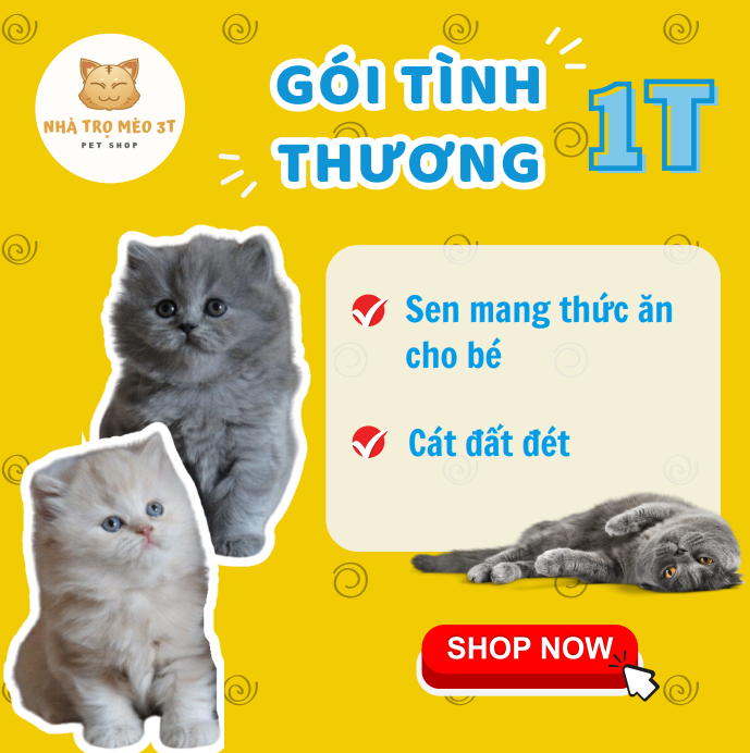 Gói Tình Thương - 1T