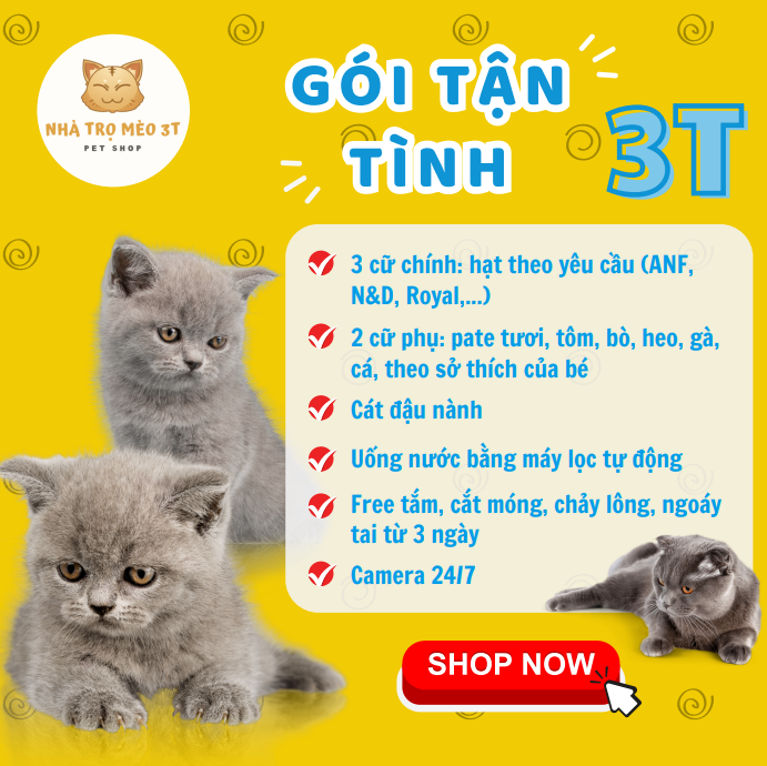 Gói Tận Tình - 3T