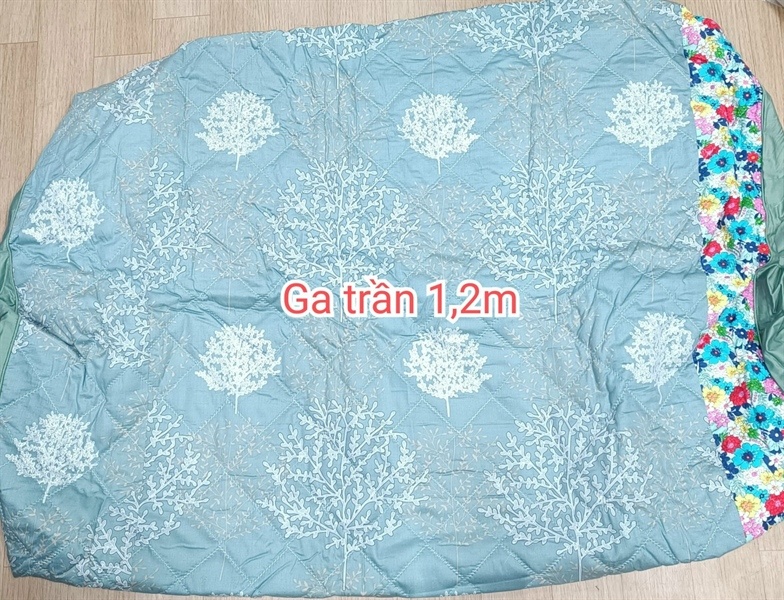 Ga trần 1,2m x 2m - 1