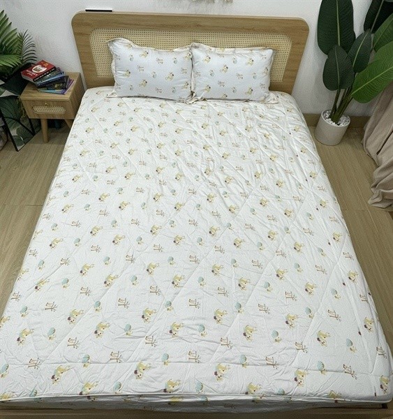 Set ga gối trần 1,8 x 2 x 20cm