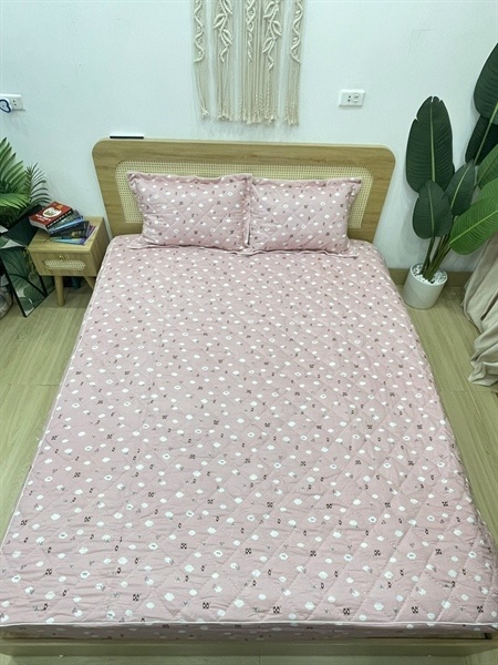 Set ga gối trần 1,6 x 2 x 15cm