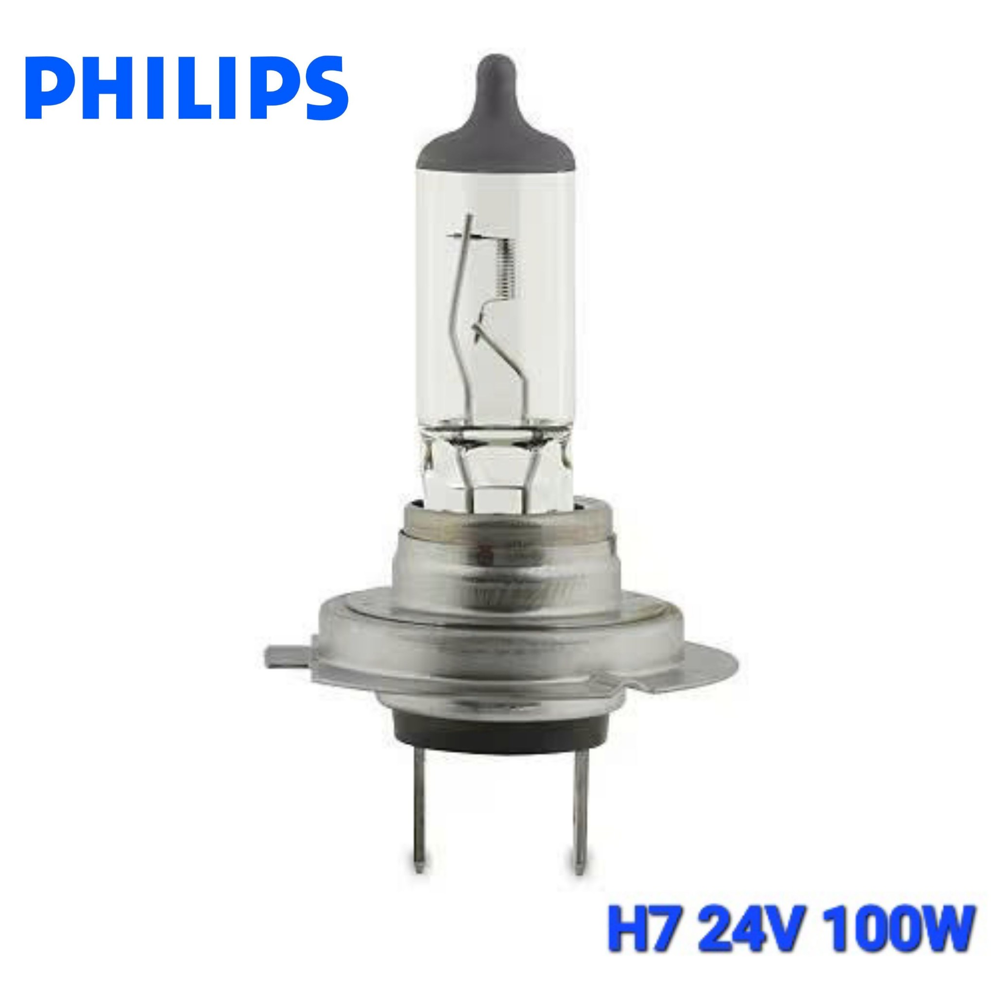 Bóng Đèn Pha Gầm Ô tô Halogen 1 Màu PHILIPS 24V 100W H1 H3 H4 H7