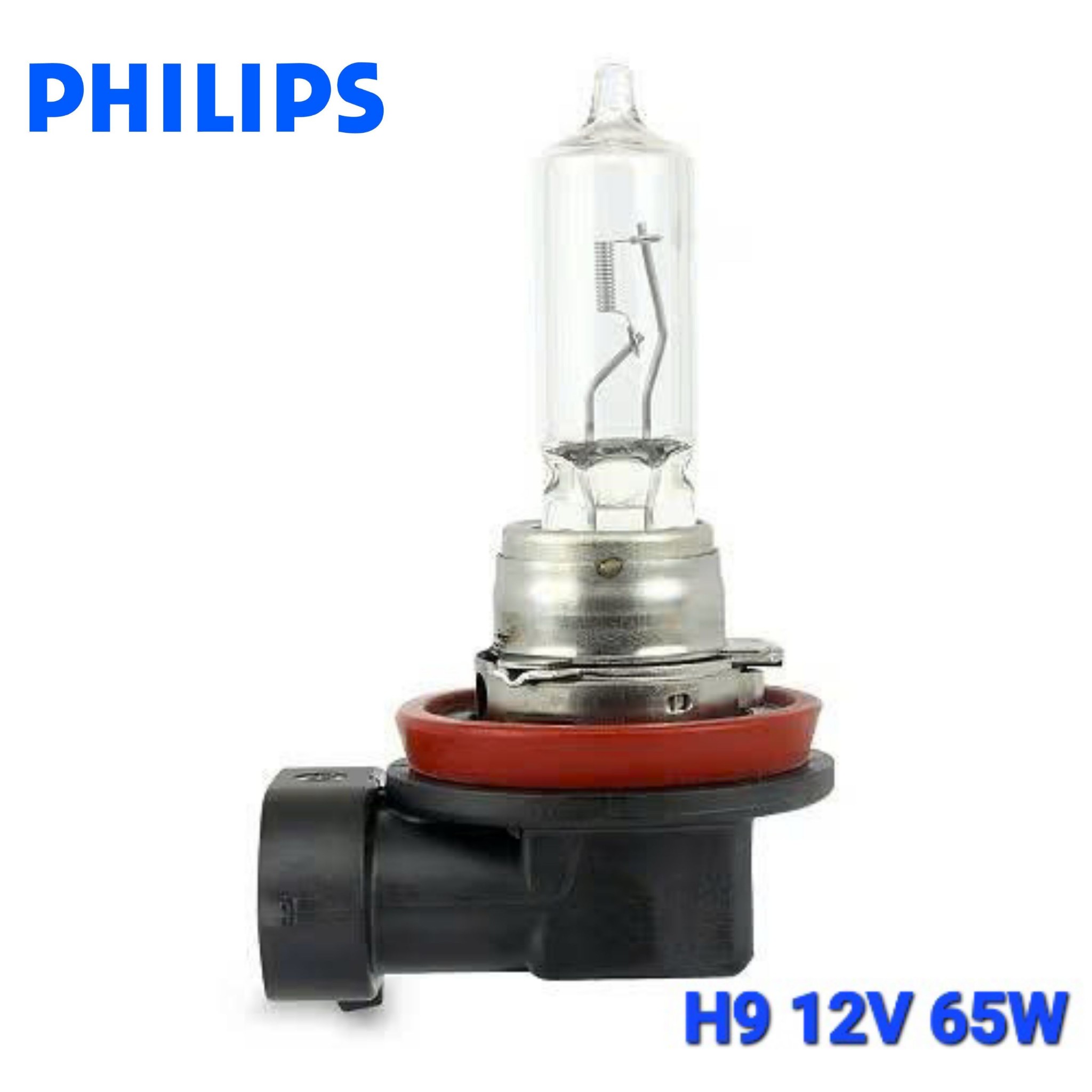 Bóng Đèn Pha Gầm Ô Tô Halogen 1 Màu PHILIPS 12V H1 H3 H4 H7 H8 H9 H10 H11 H15 H16 9005 9006 9012 880 881