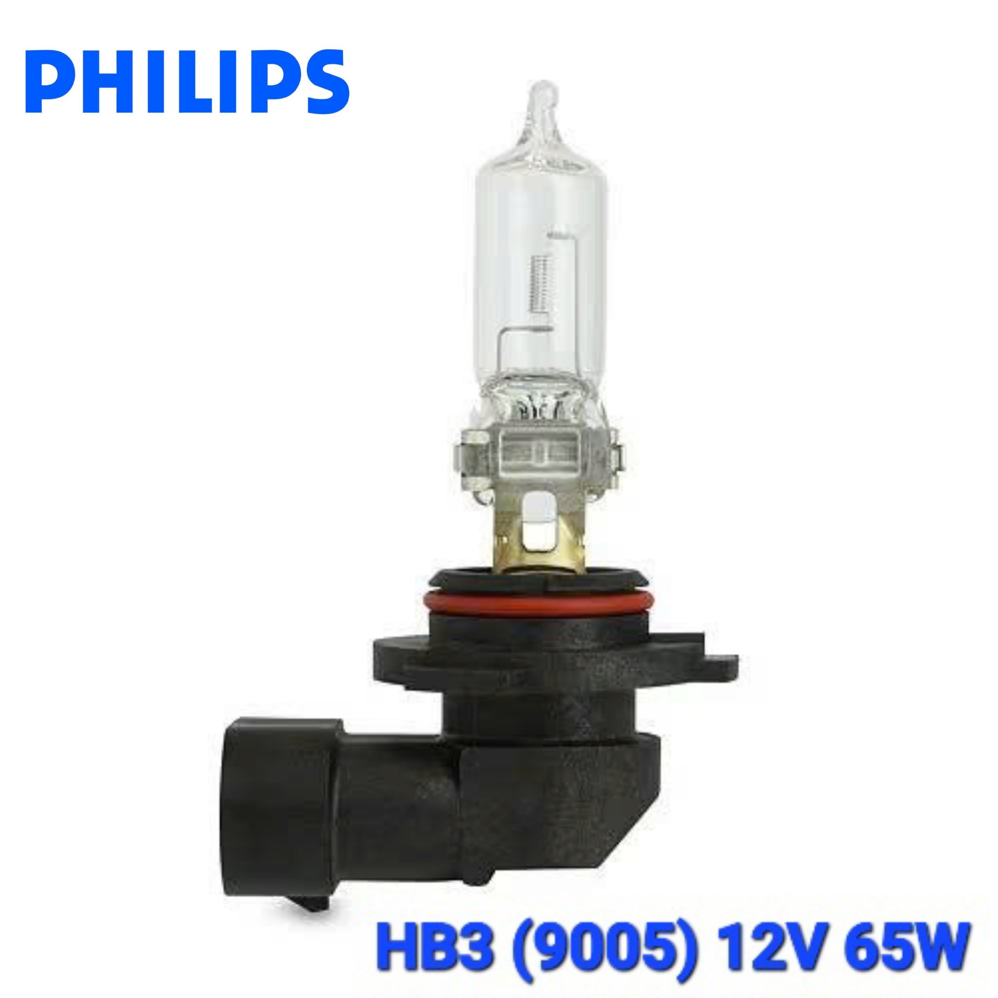 Bóng Đèn Pha Gầm Ô Tô Halogen 1 Màu PHILIPS 12V H1 H3 H4 H7 H8 H9 H10 H11 H15 H16 9005 9006 9012 880 881