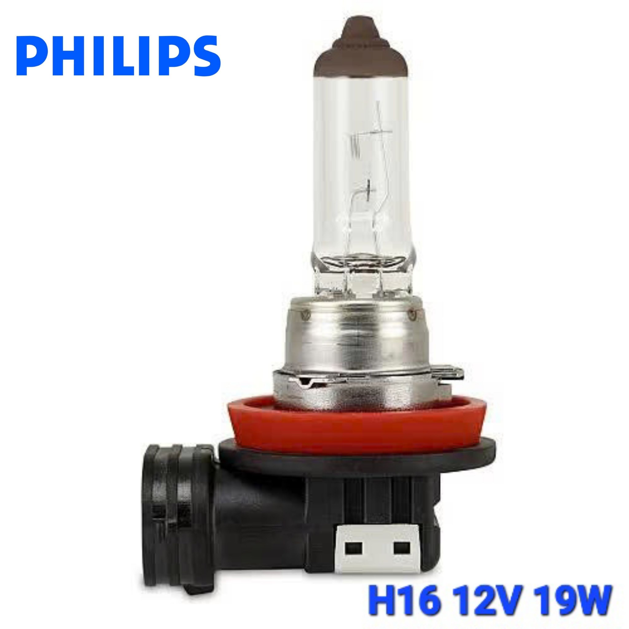 Bóng Đèn Pha Gầm Ô Tô Halogen 1 Màu PHILIPS 12V H1 H3 H4 H7 H8 H9 H10 H11 H15 H16 9005 9006 9012 880 881