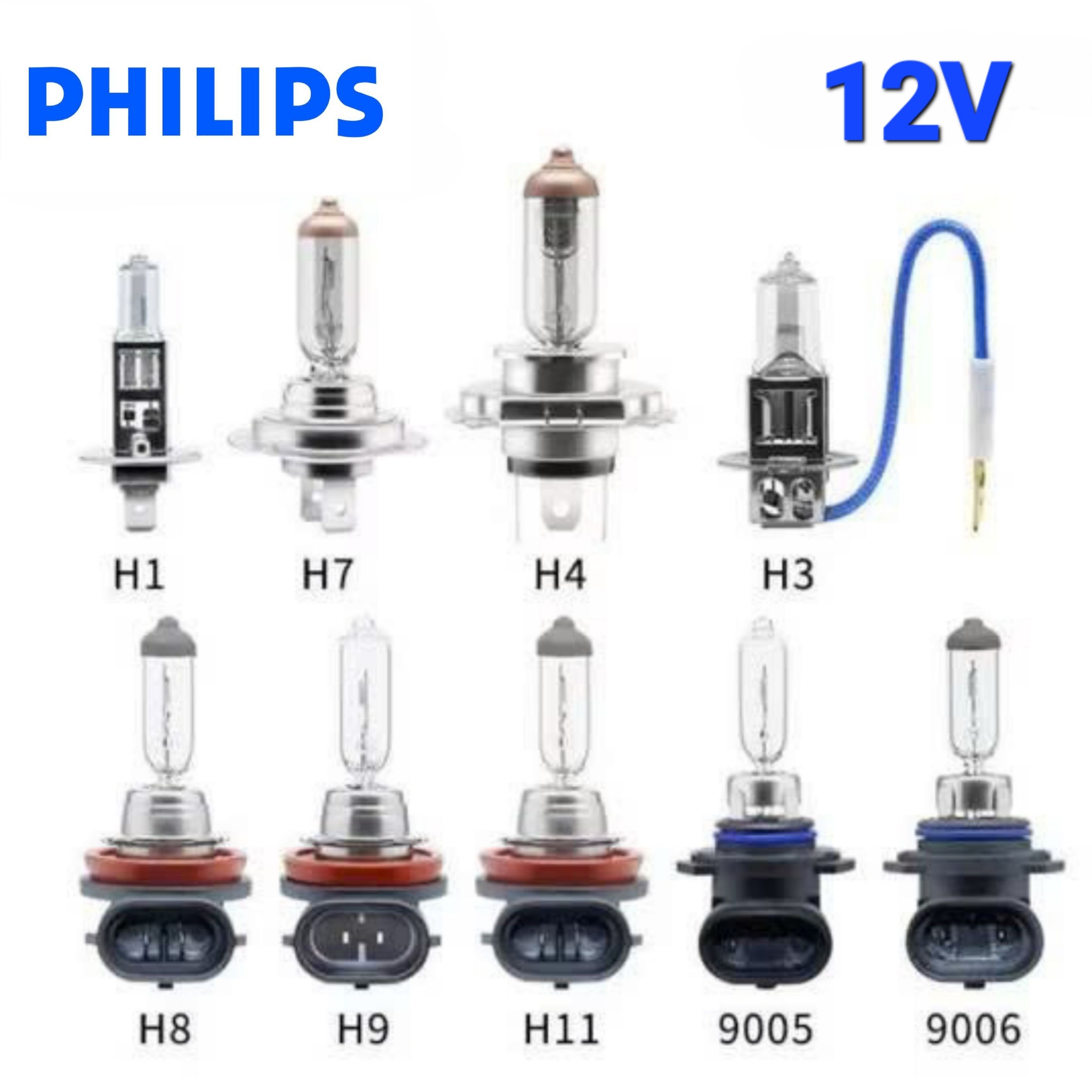 Bóng Đèn Pha Gầm Ô Tô Halogen 1 Màu PHILIPS 12V H1 H3 H4 H7 H8 H9 H10 H11 H15 H16 9005 9006 9012 880 881