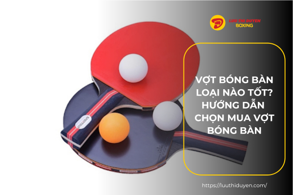 Vợt bóng bàn loại nào tốt? Hướng dẫn chọn mua vợt bóng bàn