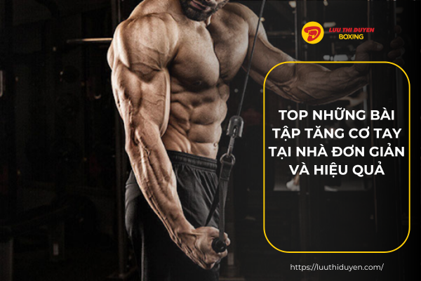 Top những bài tập tăng cơ tay tại nhà đơn giản và hiệu quả