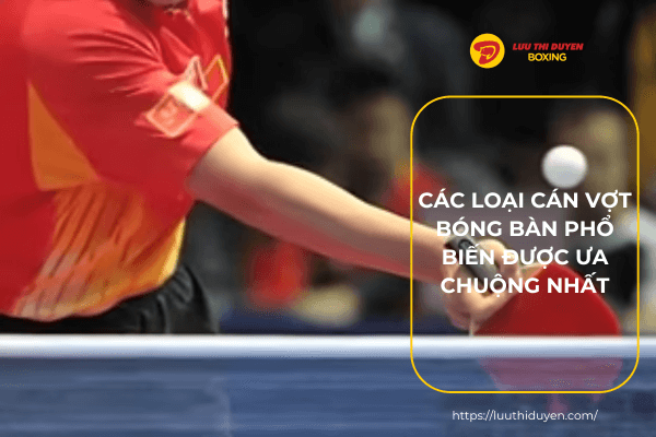 Các loại cán vợt bóng bàn phổ biến được ưa chuộng NHẤT