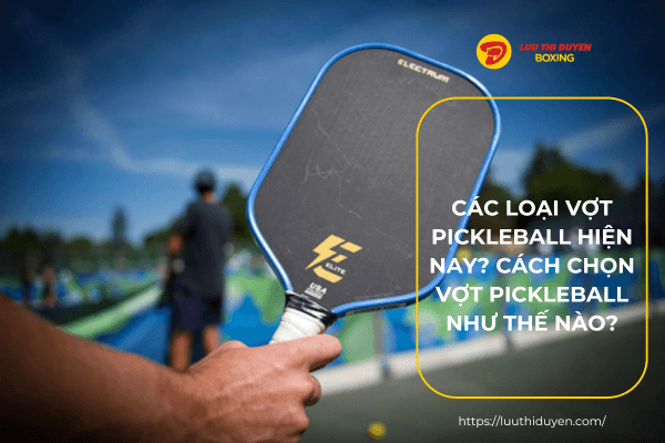 Các loại vợt pickleball hiện nay? Cách chọn vợt pickleball như thế nào?