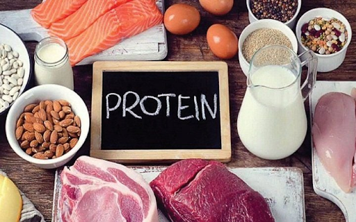 Một số loại thực phẩm giàu protein