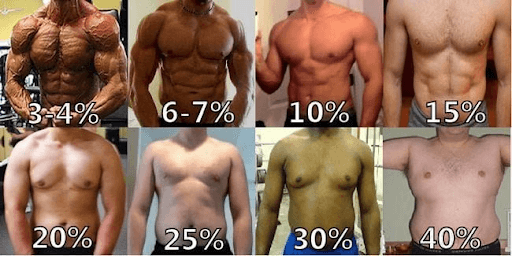 Tìm hiểu về khái niệm tỉ lệ mỡ cơ thể