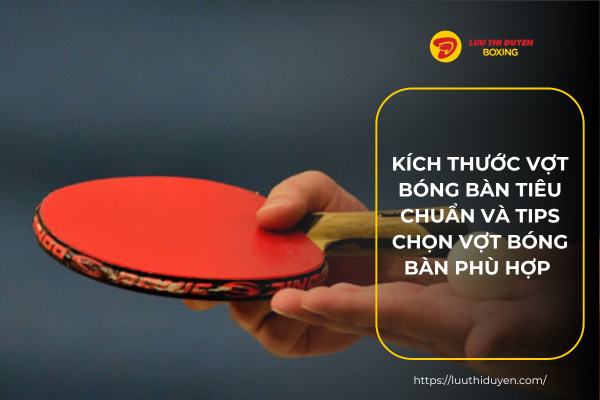 Kích thước vợt bóng bàn tiêu chuẩn và tips chọn vợt bóng bàn phù hợp
