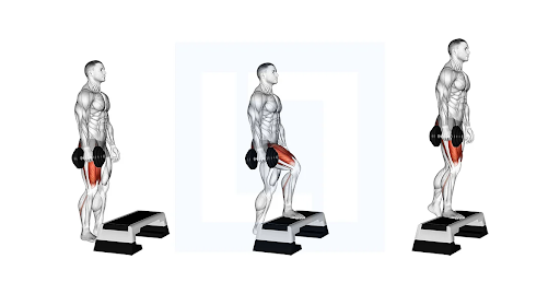 Mô tả từng bước thực hiện Dumbbell Step-up