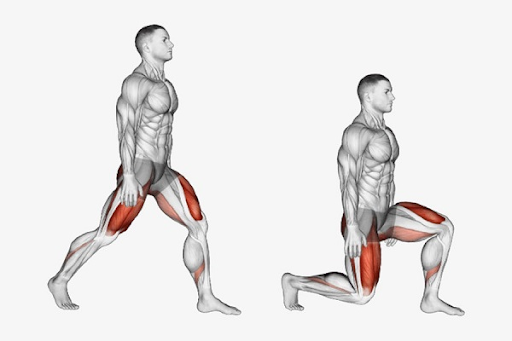 Minh họa cách thực hiện bài tập Lunge