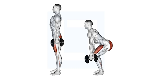 Minh họa cách thực hiện Dumbbell Squat