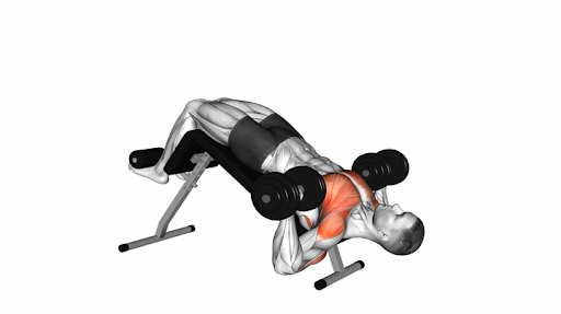 Minh họa cách thực hiện Decline Dumbbell Press