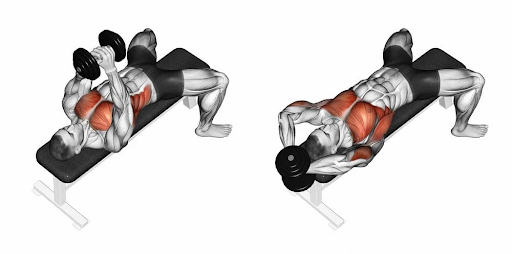 Minh họa cách thực hiện Dumbbell Pullover