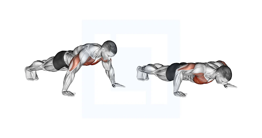 Minh họa bài tập Wide Push Up