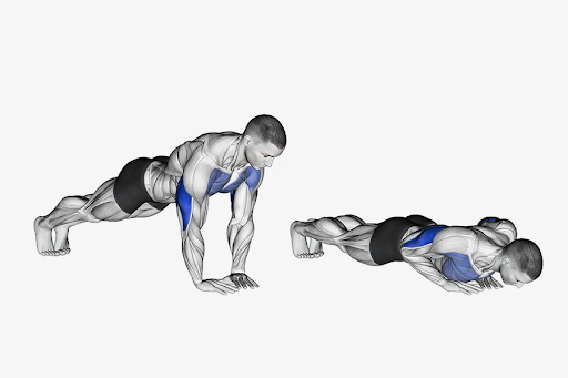 Minh họa bài tập Diamond Push Up