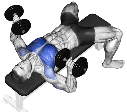 Minh họa bài tập Dumbbell bench press