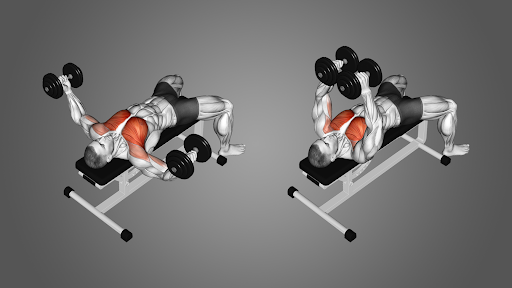 Minh họa cách tập Dumbbell Fly