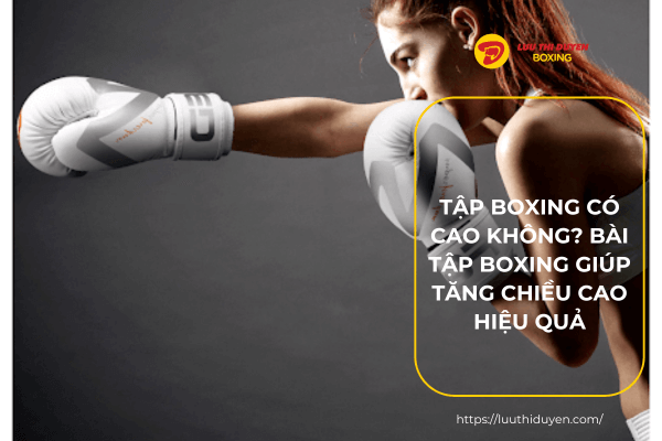 Tập boxing có cao không? Bài tập boxing giúp tăng chiều cao hiệu quả