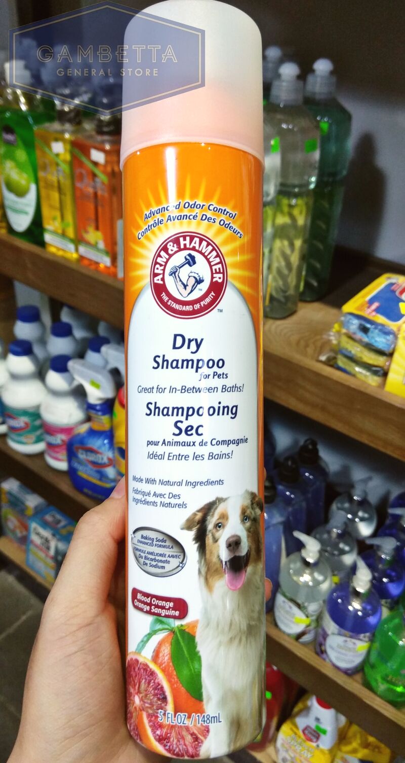 Arm and hammer hot sale dry dog shampoo