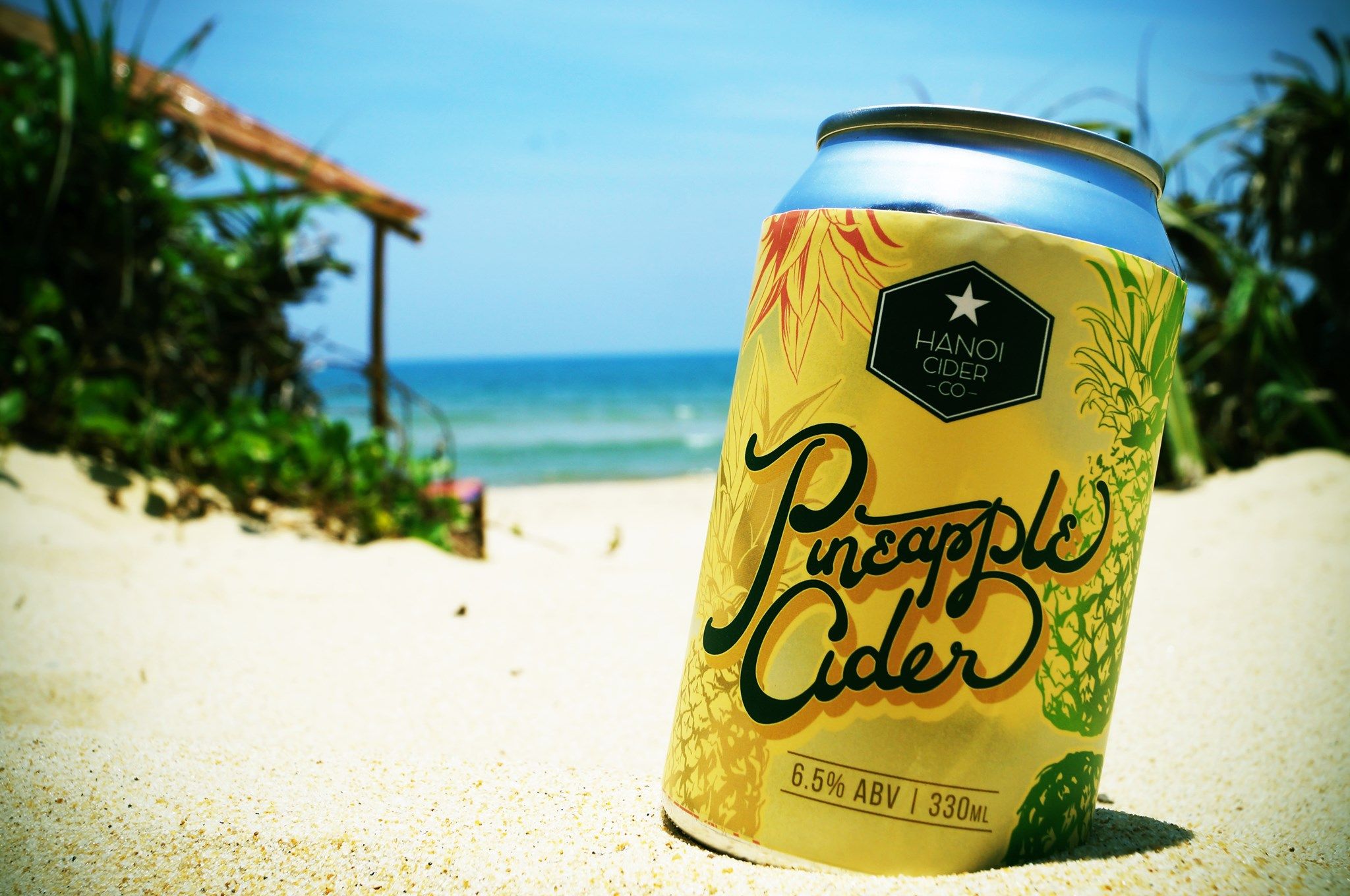 Hanoi Cider Co Pineapple Cider 330ml