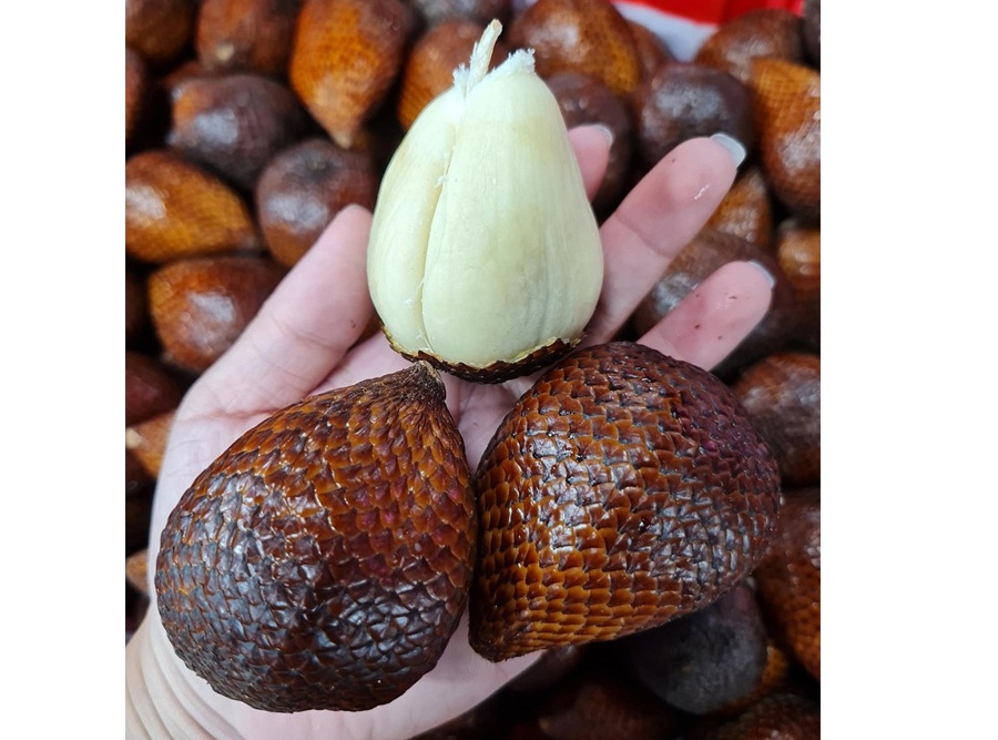 Mây Bali Salak Sugar 1kg