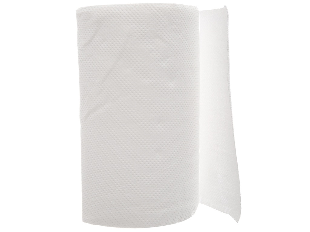 Paseo Household Towel 2 Rolls